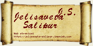 Jelisaveta Šalipur vizit kartica